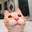 Thatfuckingcat