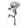 Xenon Xenon