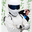 The Stig